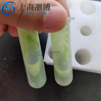 冷凍研磨儀進行定量水稻葉片研磨實驗|浙江大學