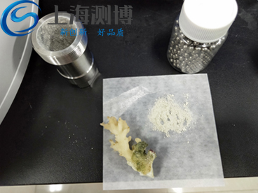 珊瑚研磨后效果圖